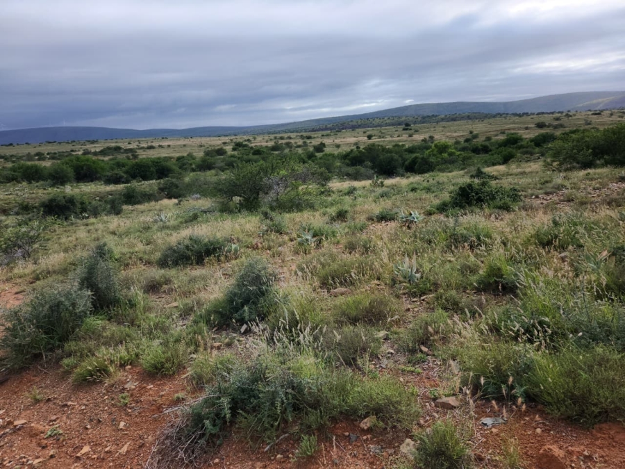 Commercial Property for Sale in Somerset East Rural Eastern Cape